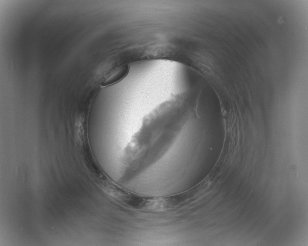 X0000064040127200602101434