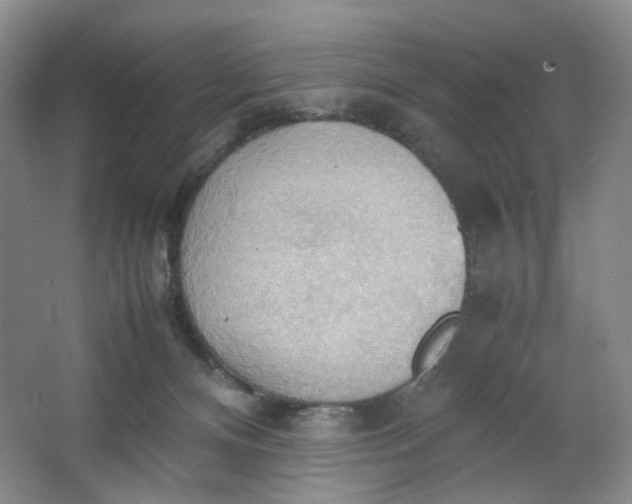 X0000064040128200602101434