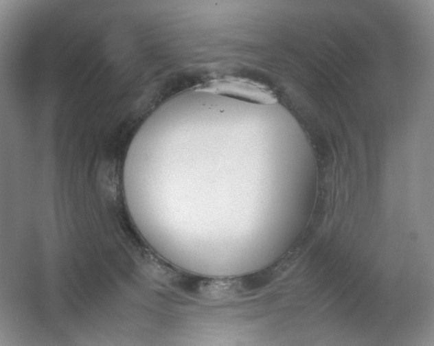 X0000064040129200602101434