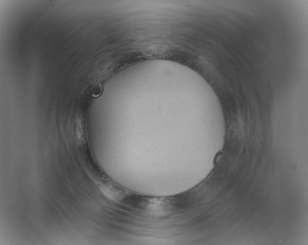 X0000064040130200602101434