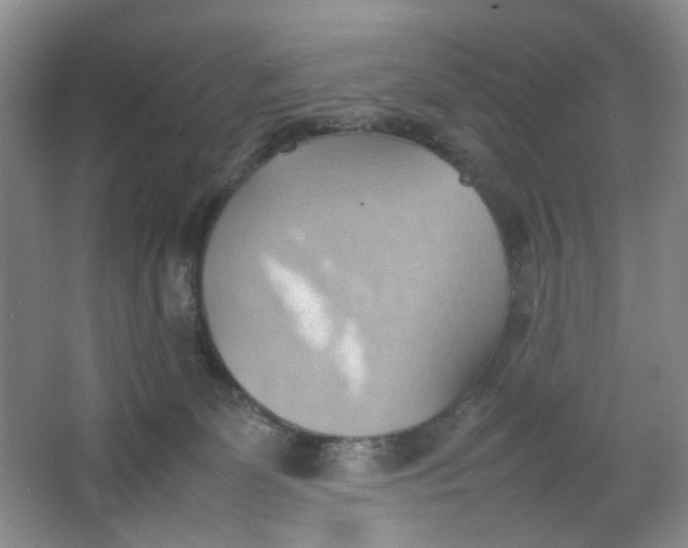 X0000064040131200602101434