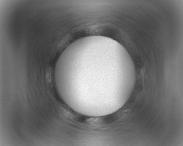 X0000064040133200602101434