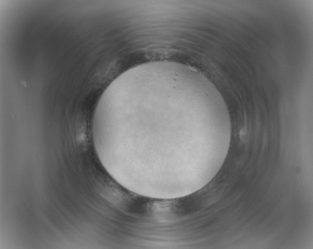 X0000064040134200602101434