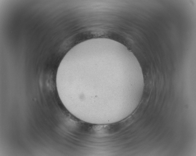 X0000064040136200602101434