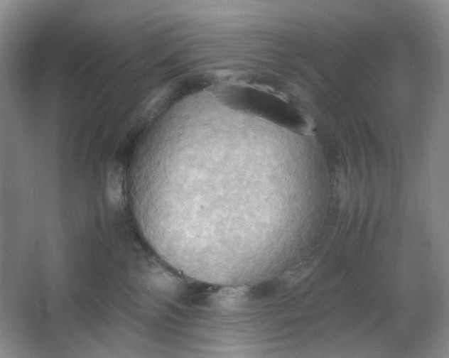 X0000064040138200602101434