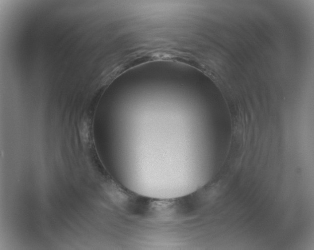 X0000064040139200602101434