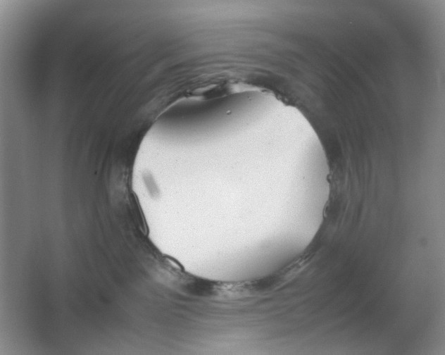 X0000064040141200602101434