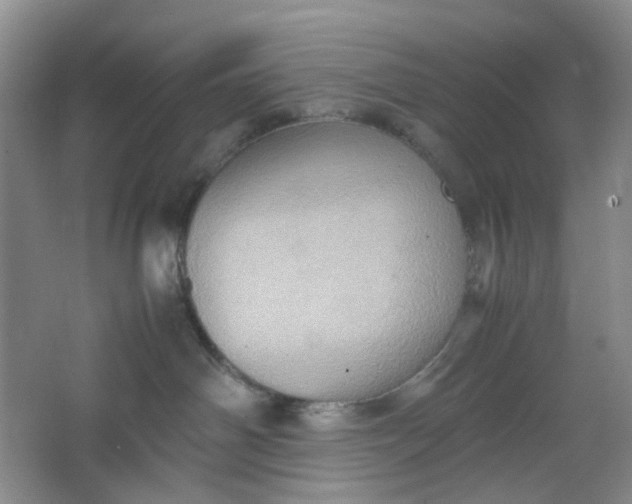 X0000064040142200602101434