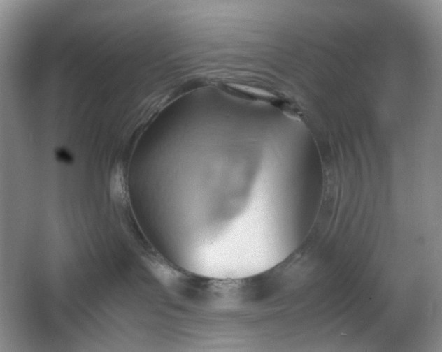 X0000064040143200602101434