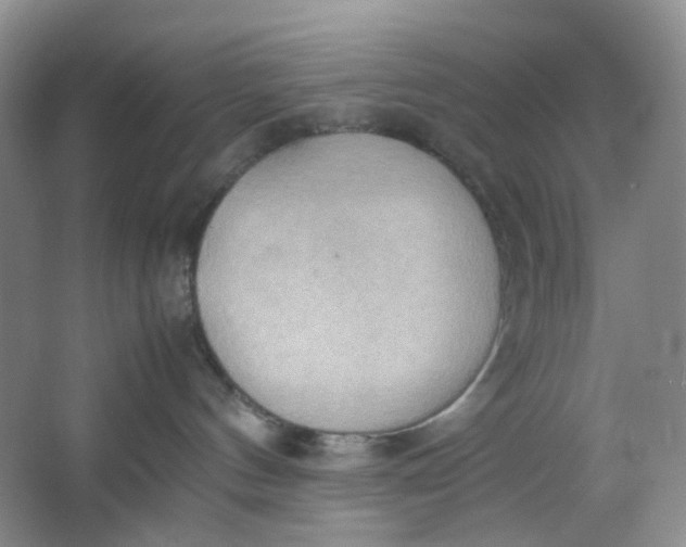 X0000064040144200602101434