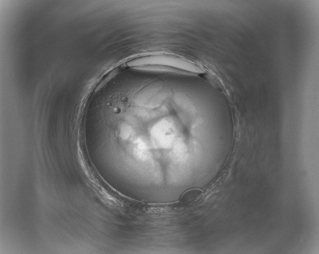 X0000064040145200602101433