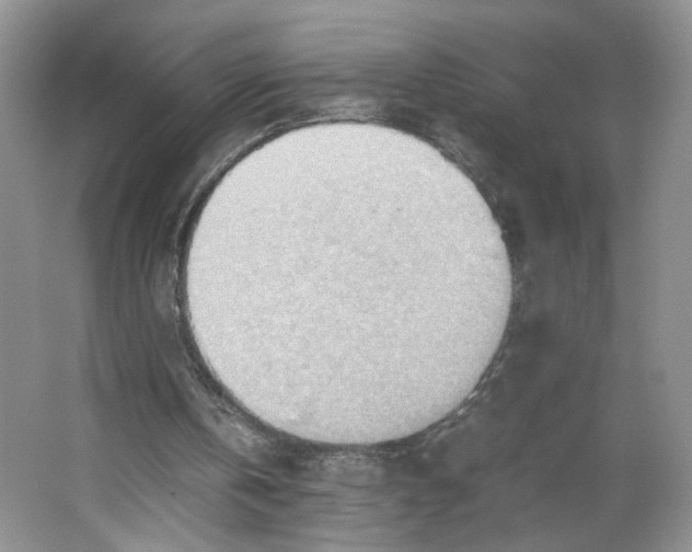 X0000064040146200602101433