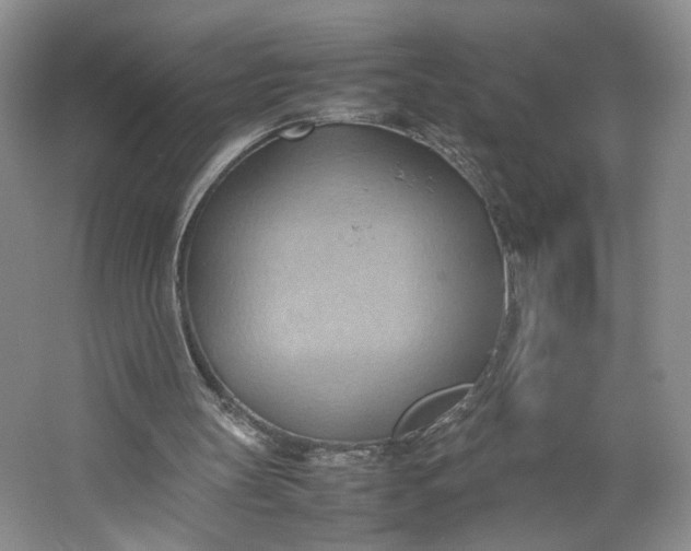 X0000064040147200602101433