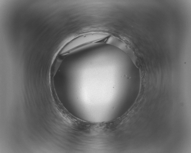 X0000064040148200602101433