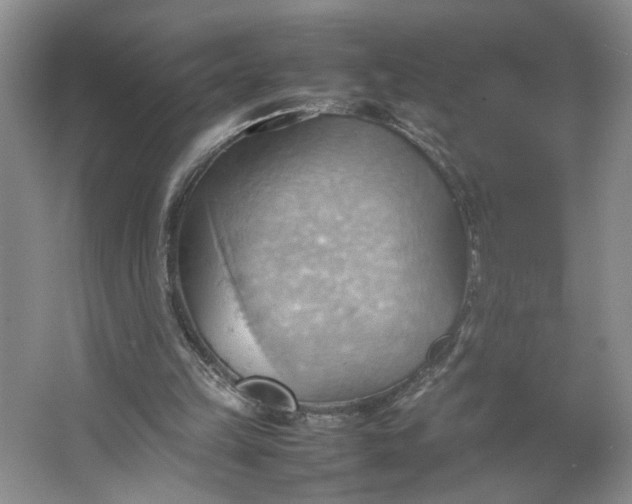 X0000064040149200602101433