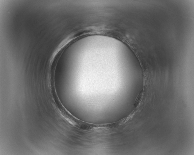 X0000064040150200602101433