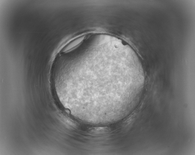 X0000064040151200602101433