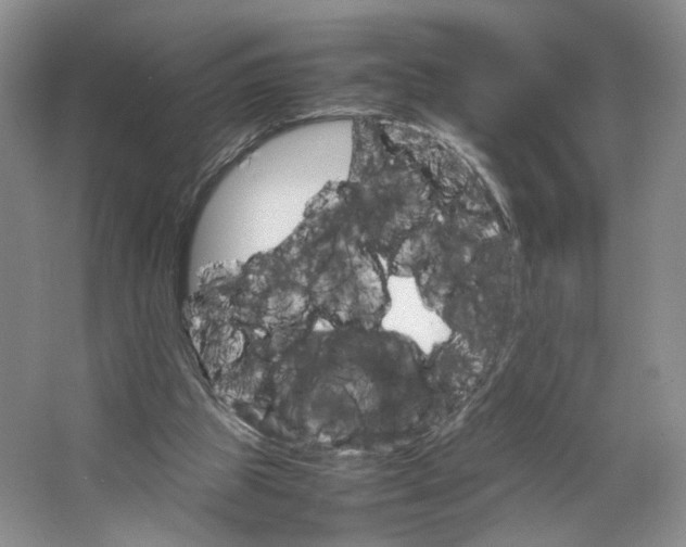 X0000064040153200602101433