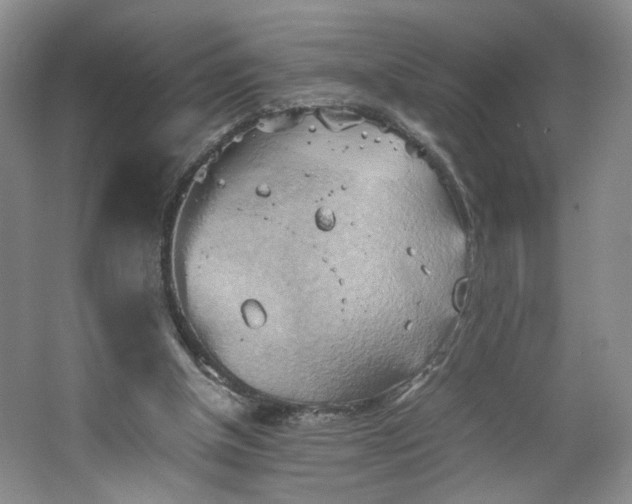 X0000064040154200602101433