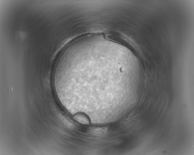 X0000064040155200602101433