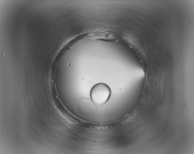 X0000064040156200602101434