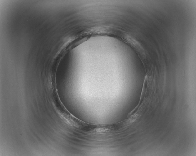 X0000064040158200602101434