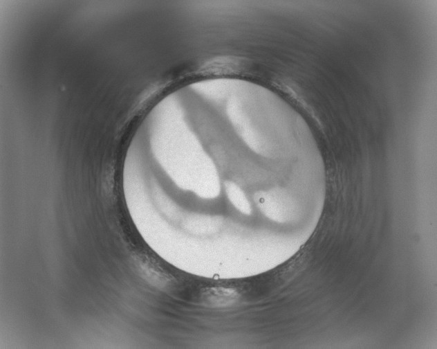 X0000064040159200602101434