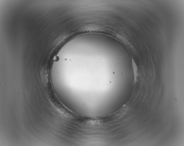 X0000064040160200602101434