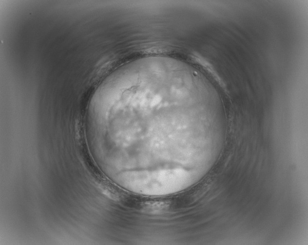 X0000064040161200602101434