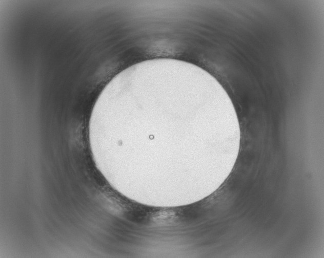 X0000064040162200602101434