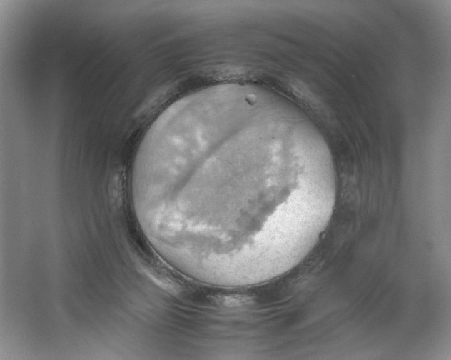 X0000064040165200602101434