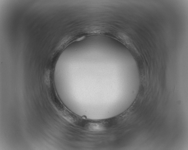 X0000064040167200602101434