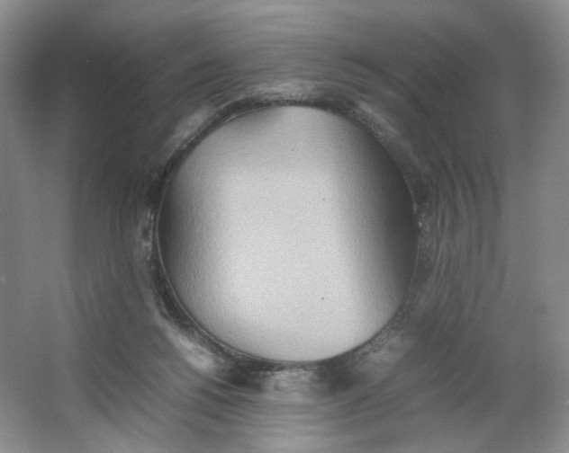 X0000064040168200602101434