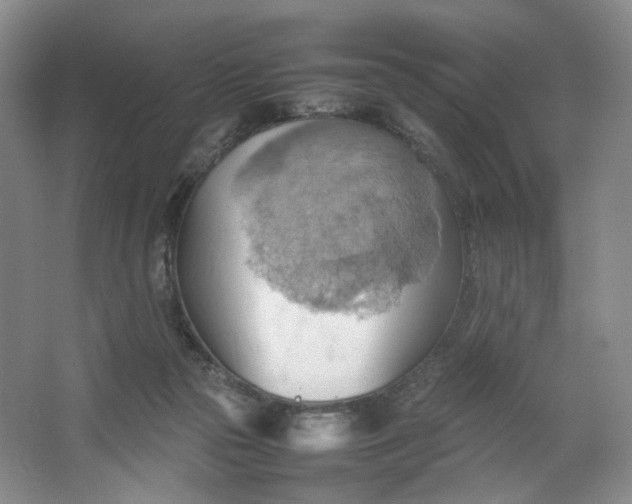 X0000064040169200602101434