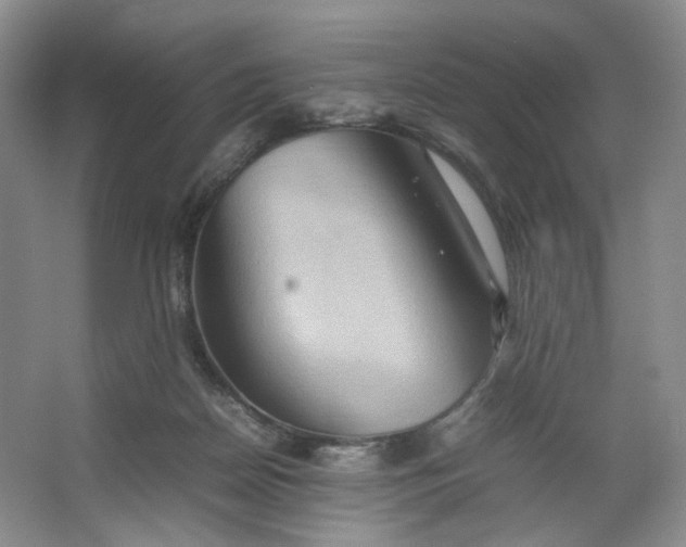 X0000064040170200602101434