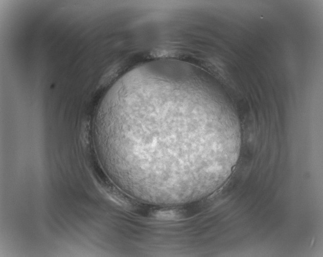 X0000064040171200602101434