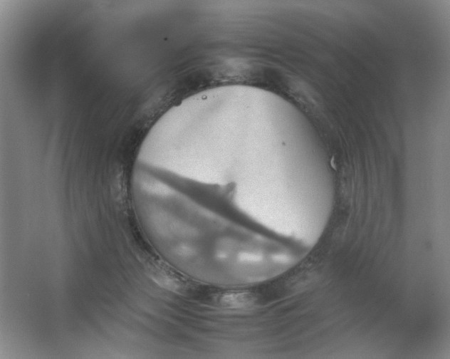 X0000064040173200602101434