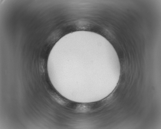 X0000064040174200602101434