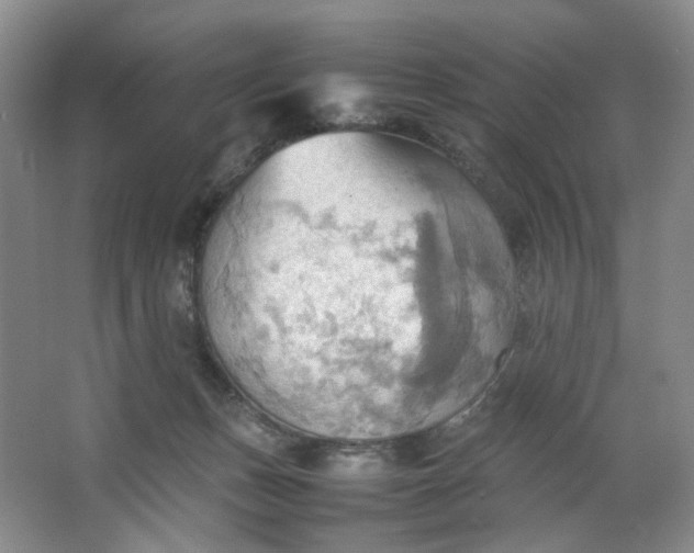 X0000064040175200602101434