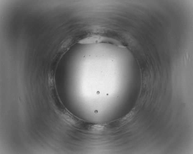 X0000064040176200602101434