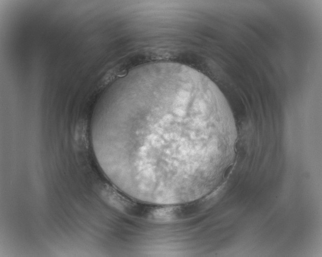 X0000064040178200602101434