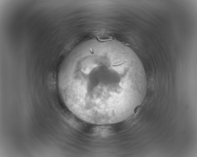 X0000064040179200602101434