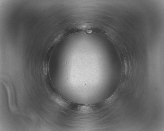 X0000064040180200602101434