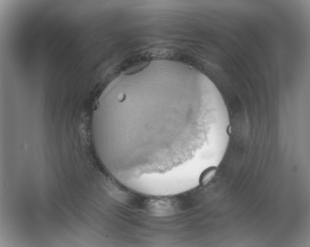 X0000064040181200602101434