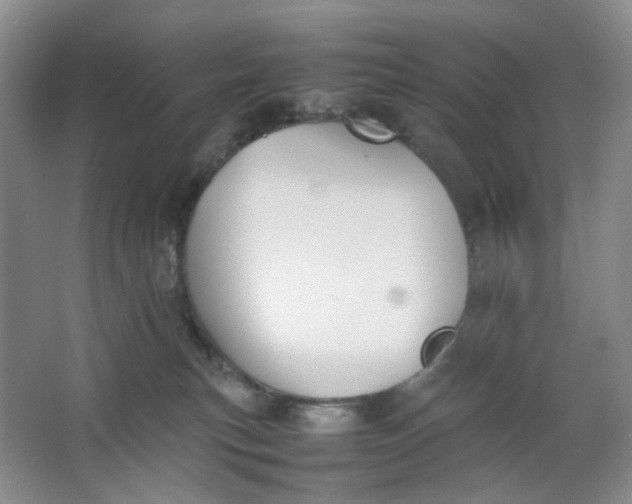 X0000064040183200602101434