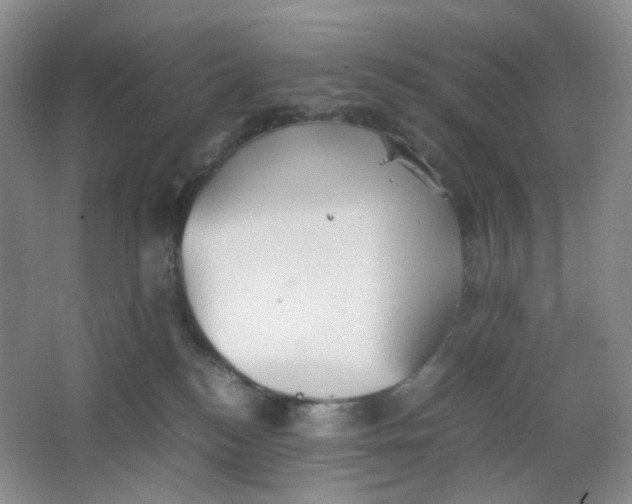 X0000064040184200602101434