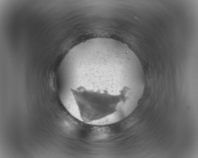 X0000064040185200602101434