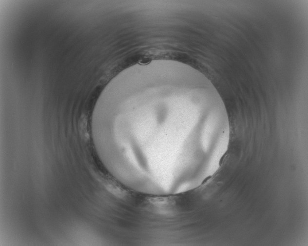 X0000064040187200602101434