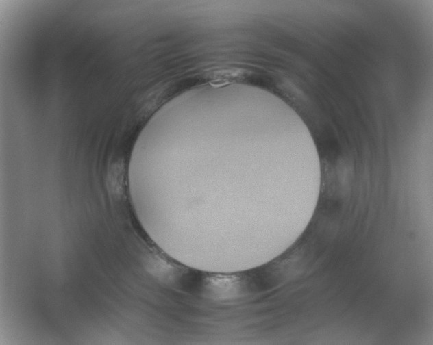 X0000064040189200602101434