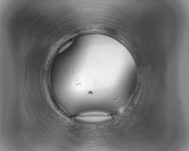 X0000064040193200602101433